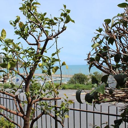 Froggy House Villa San Lorenzo al Mare Exterior photo